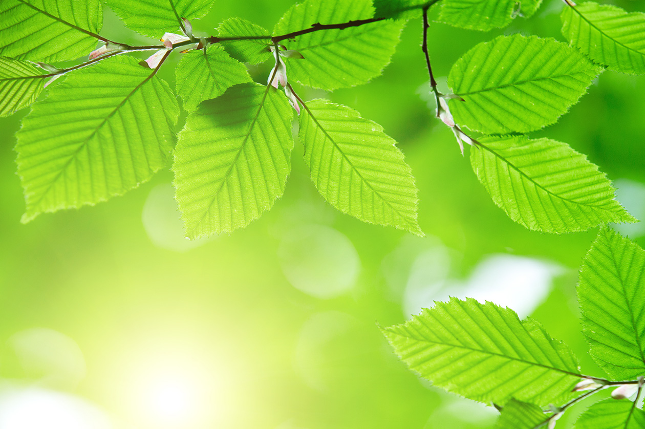 個人情報保護方針　Privacy policy